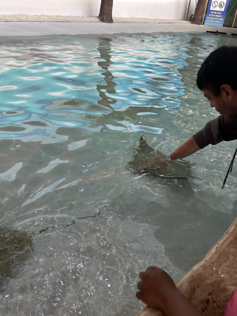 Care & Community IDD Services Aurora, CO