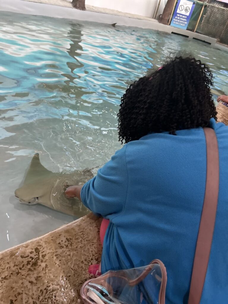 Care & Community IDD Services Aurora, CO